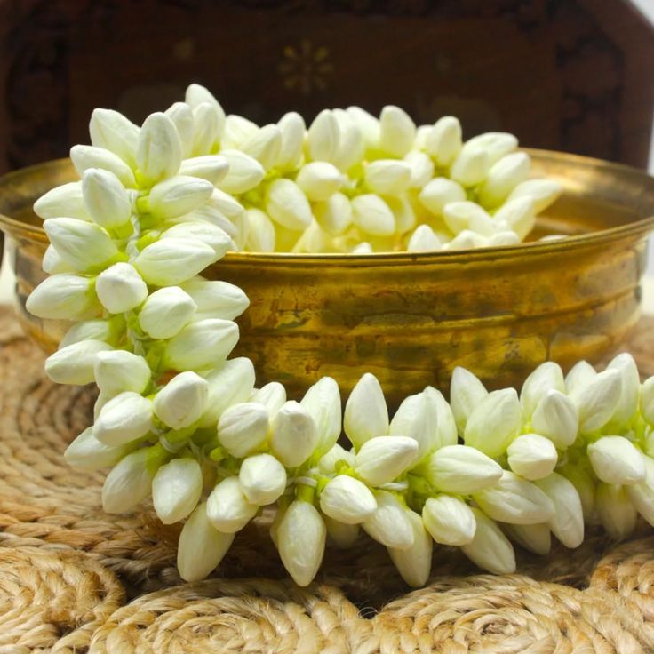 Jasmine Flower